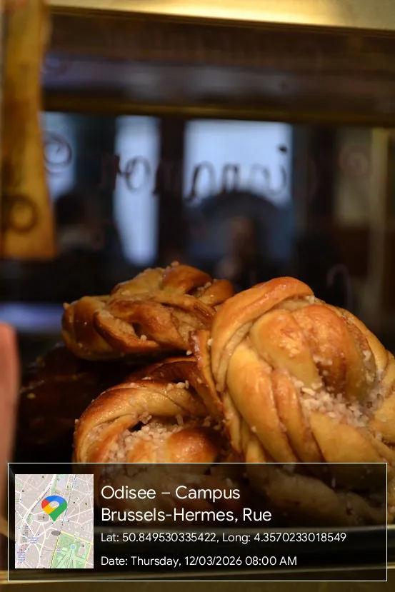Fresh vegan Chocolate Muffins in Brussels city center at The Unusual Brussels